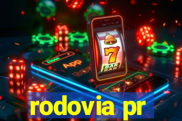 rodovia pr-317 km 155 onde fica